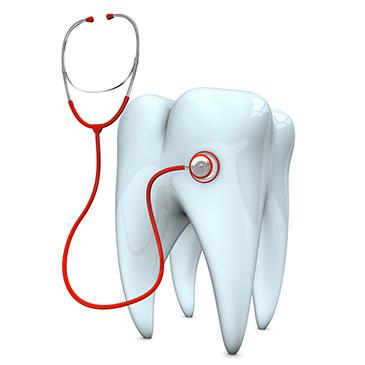 tooth diagram | Garran Dentist